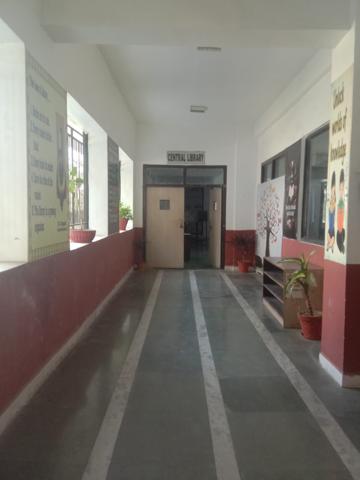 Library Photo 1